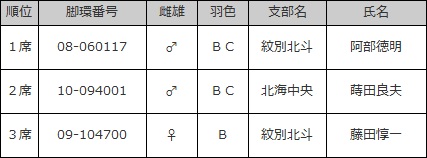 総合部門