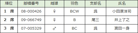 総合部門