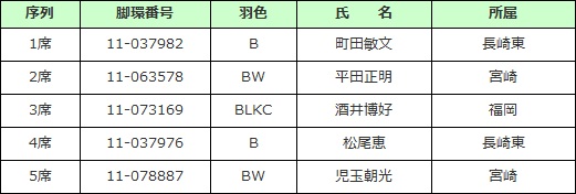 若鳩未記録♂　