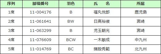 若鳩未記録♀