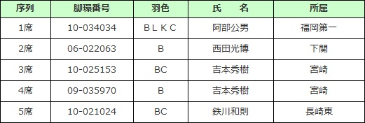 成鳩長距離　♂