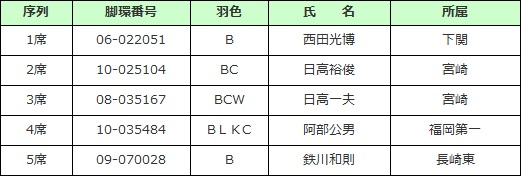 成鳩長距離　♀