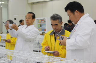 第59回全国伝書鳩品評会審査風景