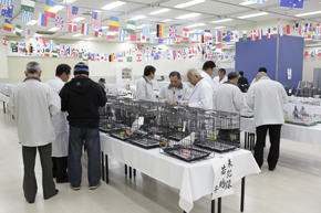 品評会審査風景