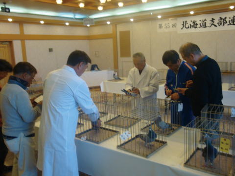 ▲審査を担当した織原理事　藤井会長
