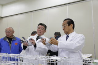62回全国伝書鳩品評会審査風景