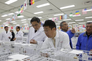 62回全国伝書鳩品評会審査風景