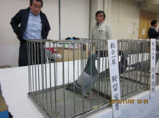 総合1席