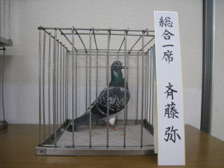 総合１席