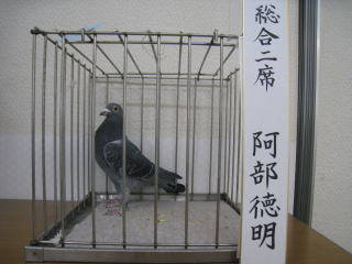 総合2席