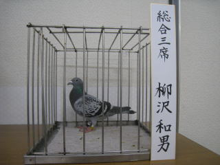 総合3席