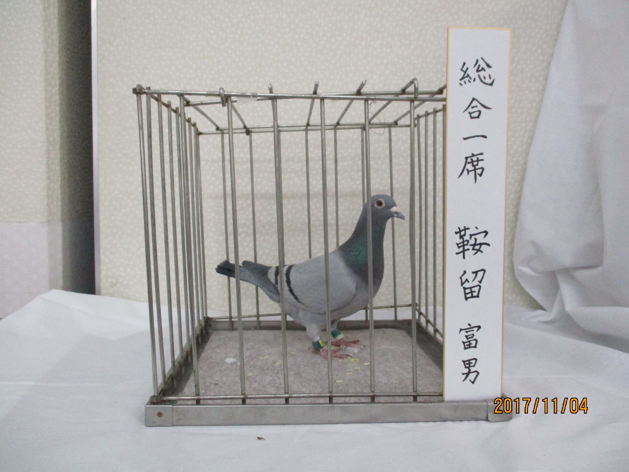 総合1席
