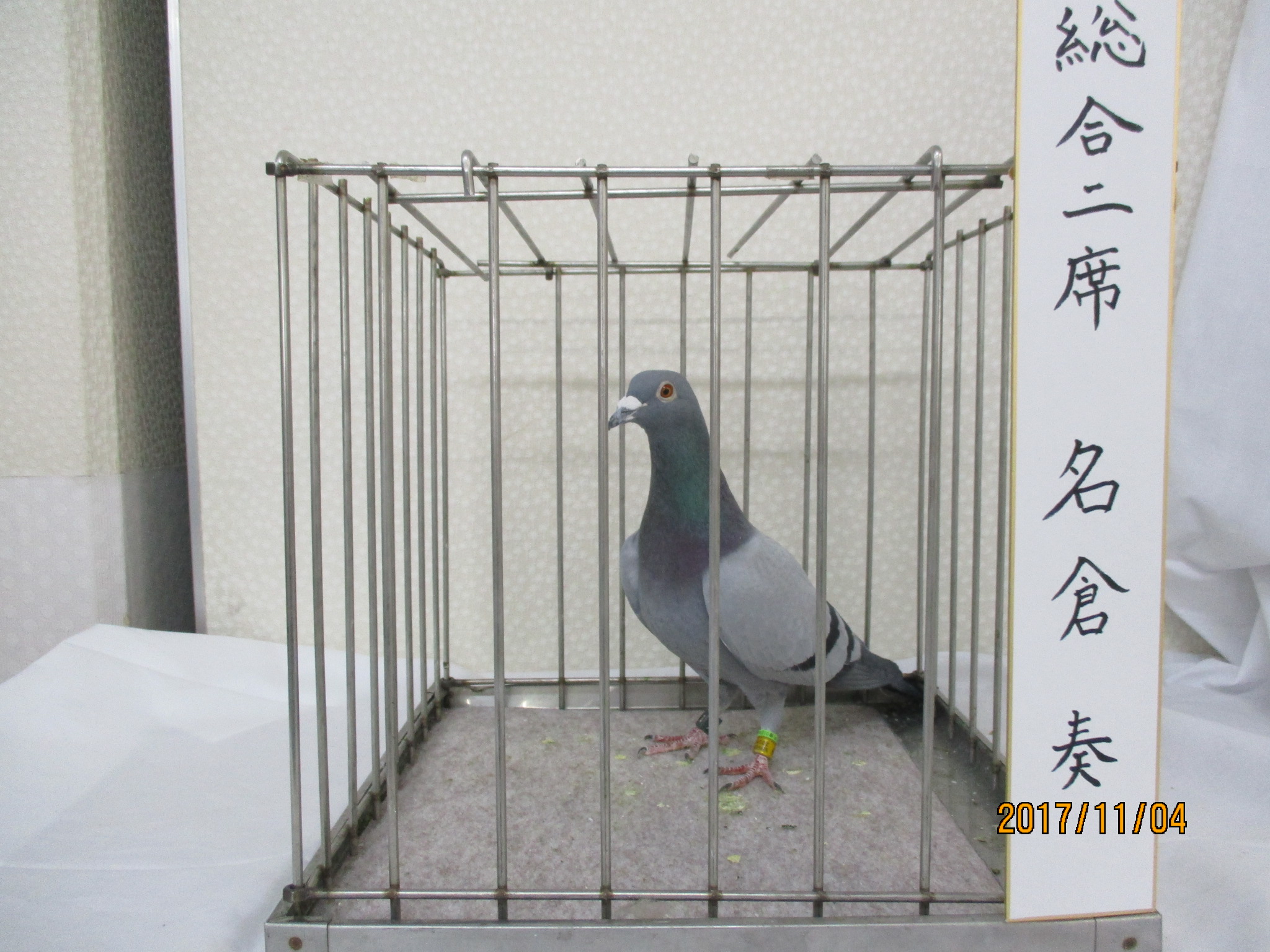 総合2席