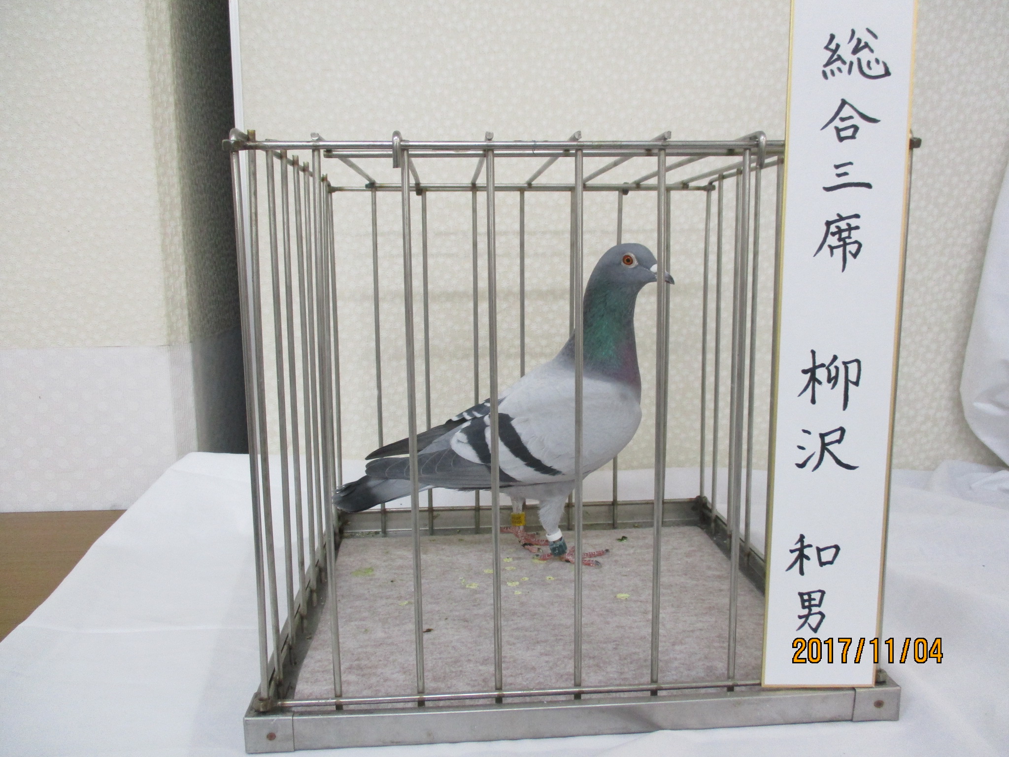 総合3席