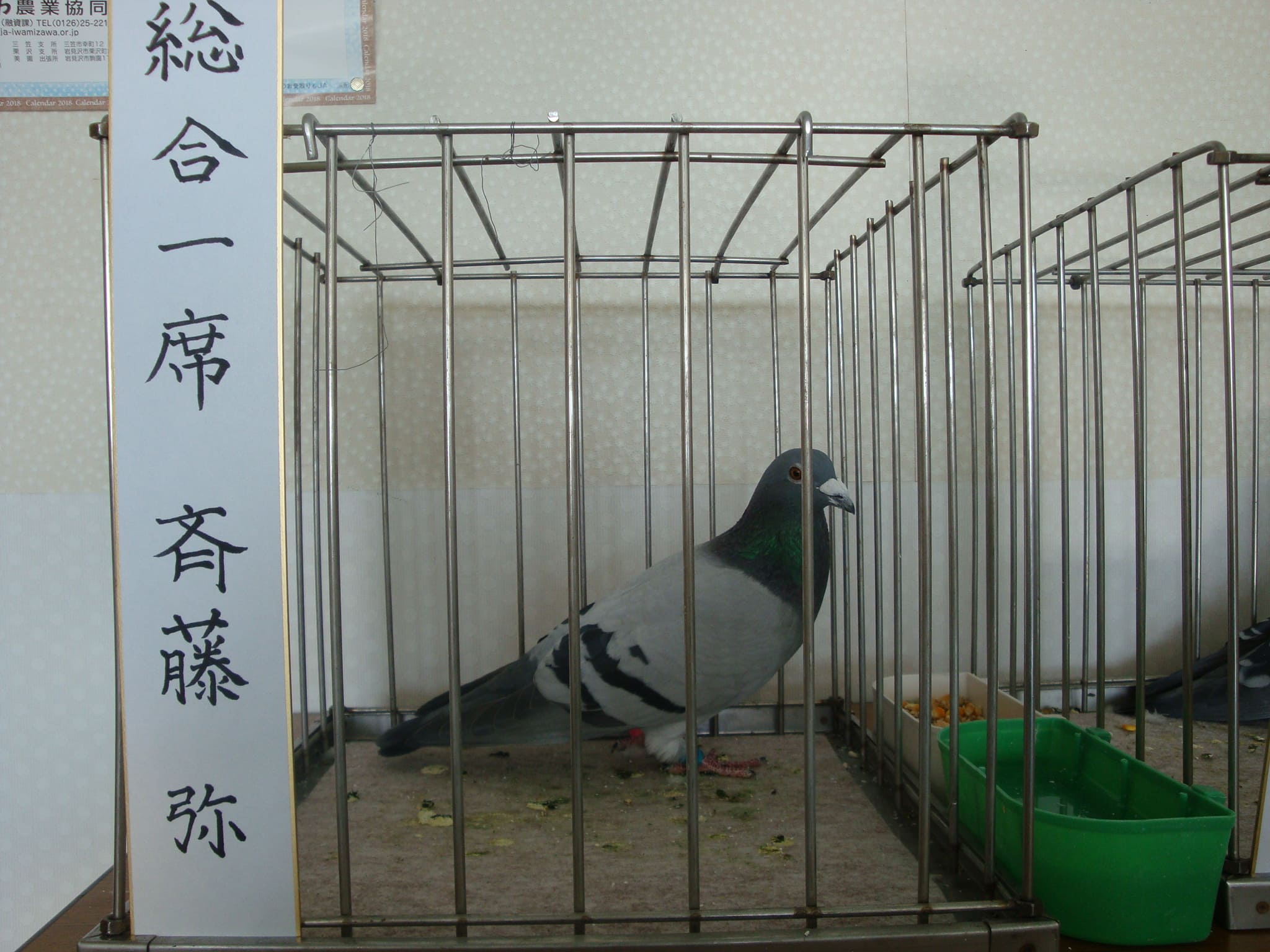 総合1席