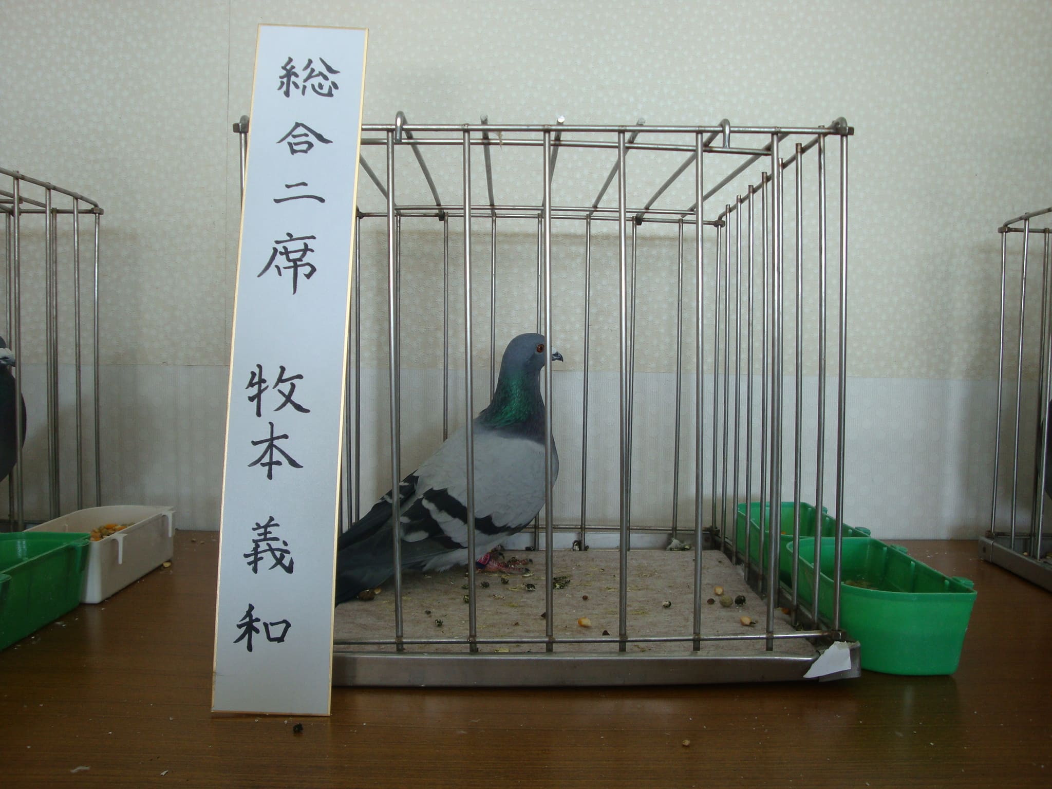 総合2席