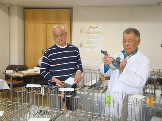 ▲審査風景(審査員の岩田耕三専務理事、山﨑清氏