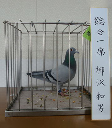 総合1席