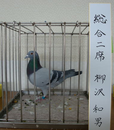 総合2席