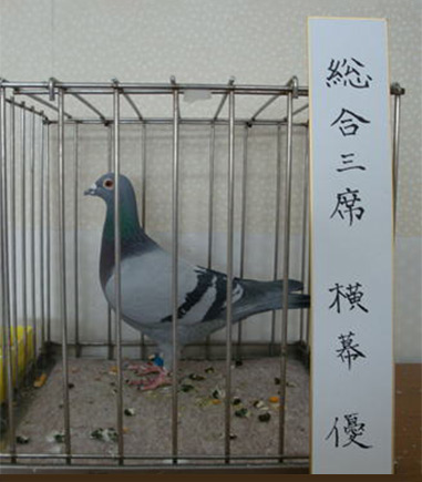 総合3席