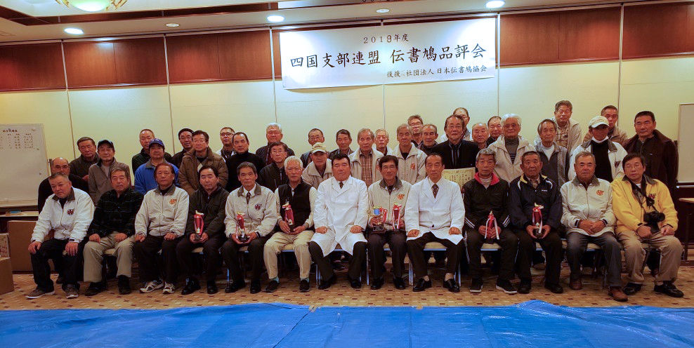 四国支部連盟 伝書鳩品評会