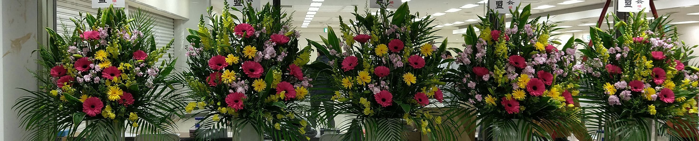 フェスティバル会場風景