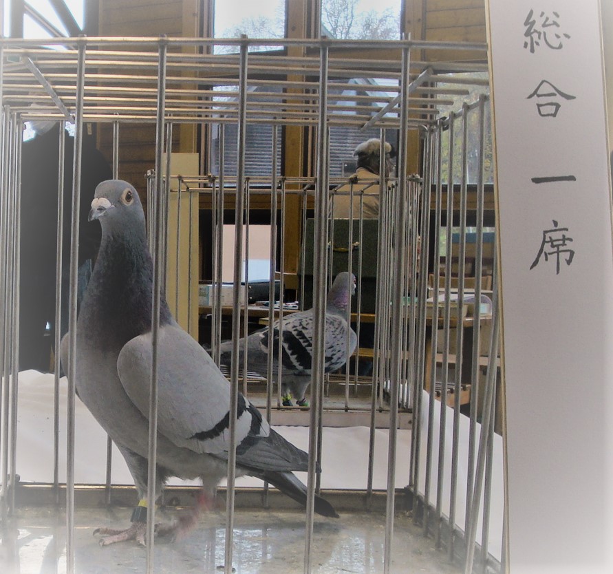 総合一席