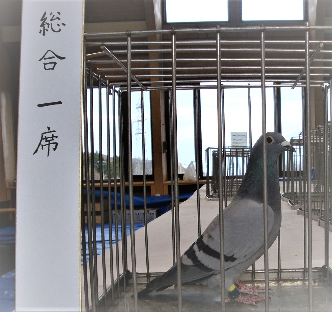 総合一席