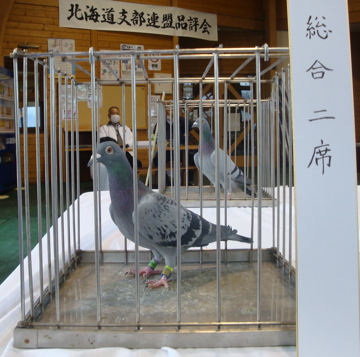 総合二席
