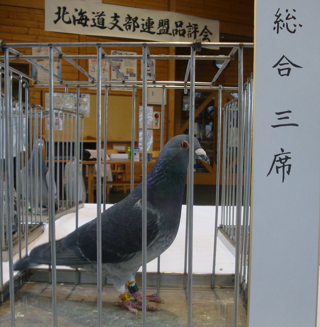 総合三席
