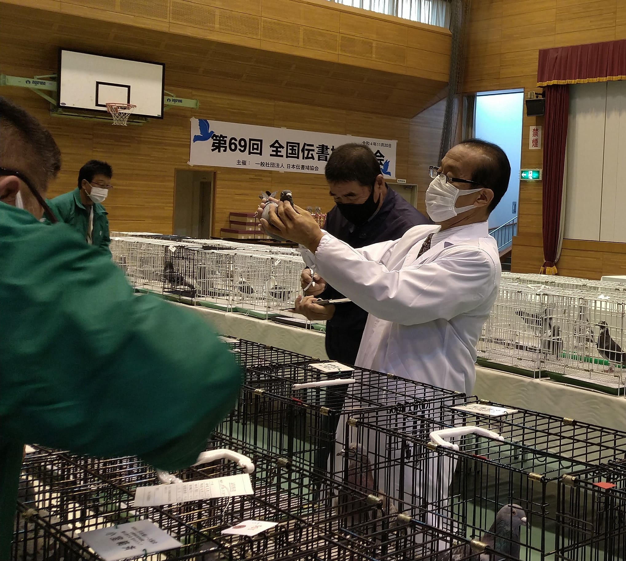 第69回 全国伝書鳩品評会審査風景