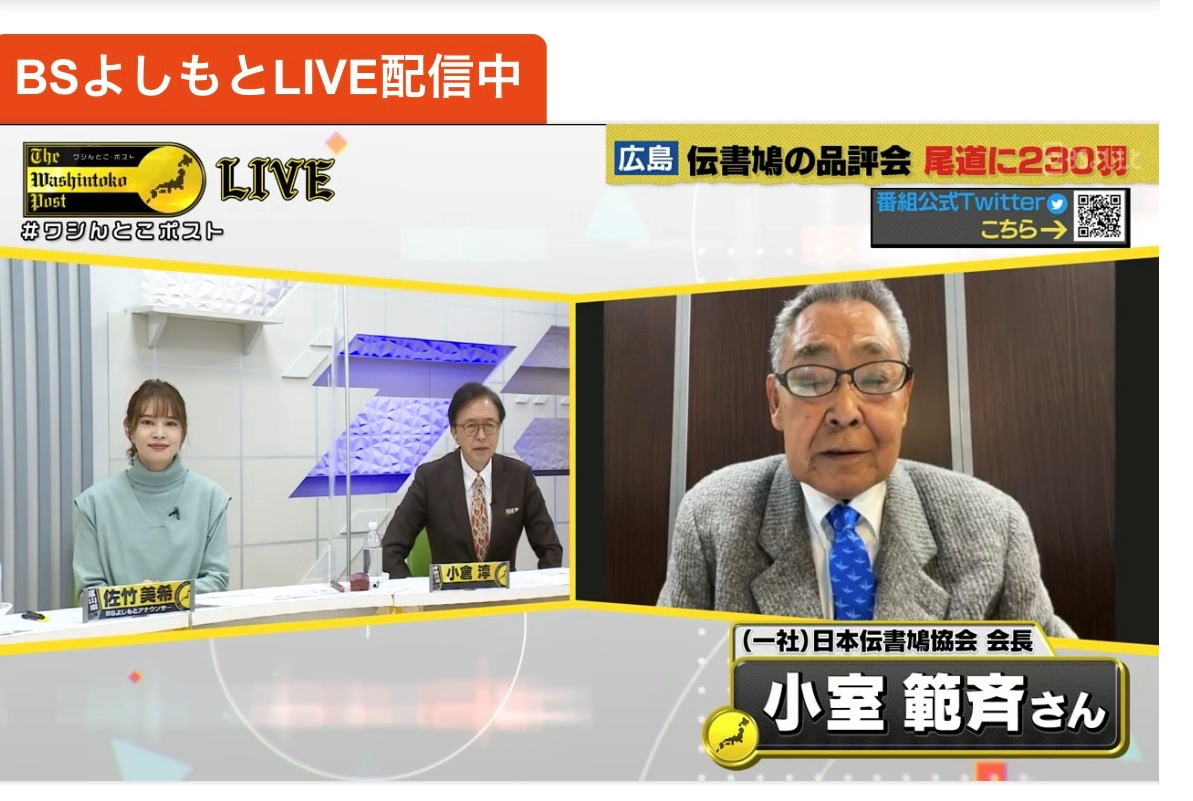 BSよしもとLIVE配信中