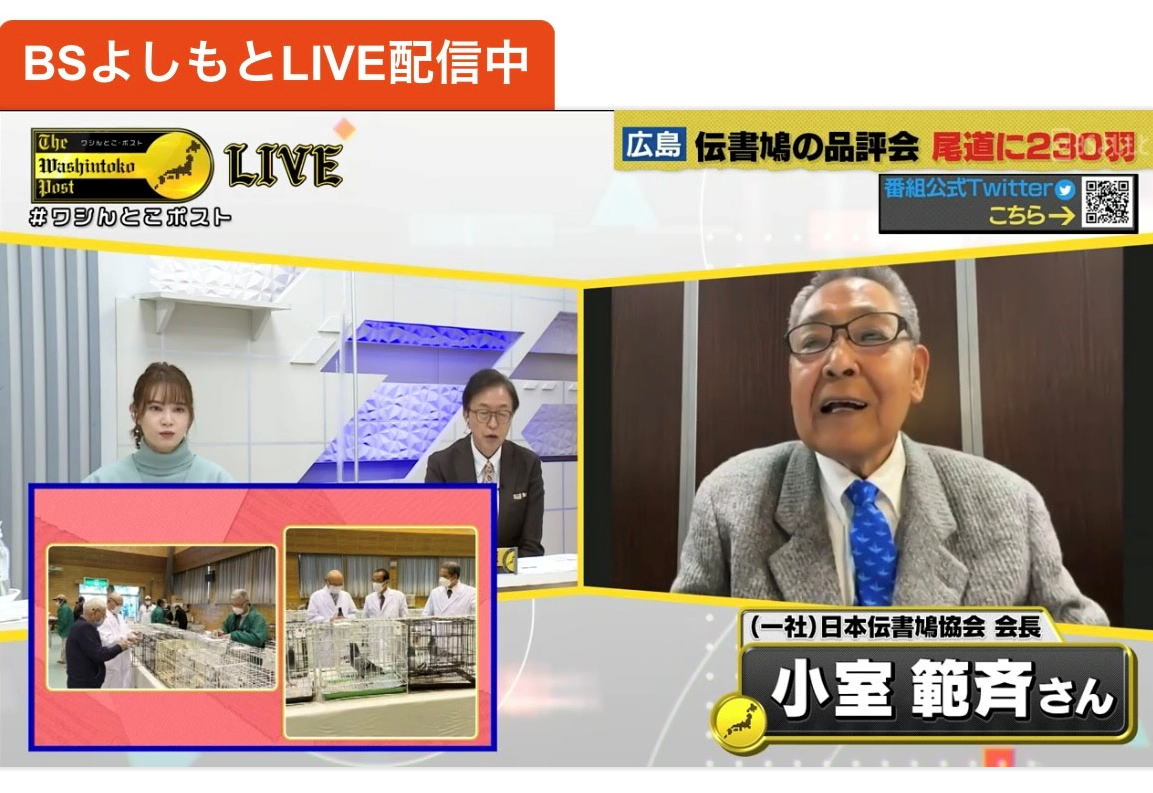BSよしもとLIVE配信中
