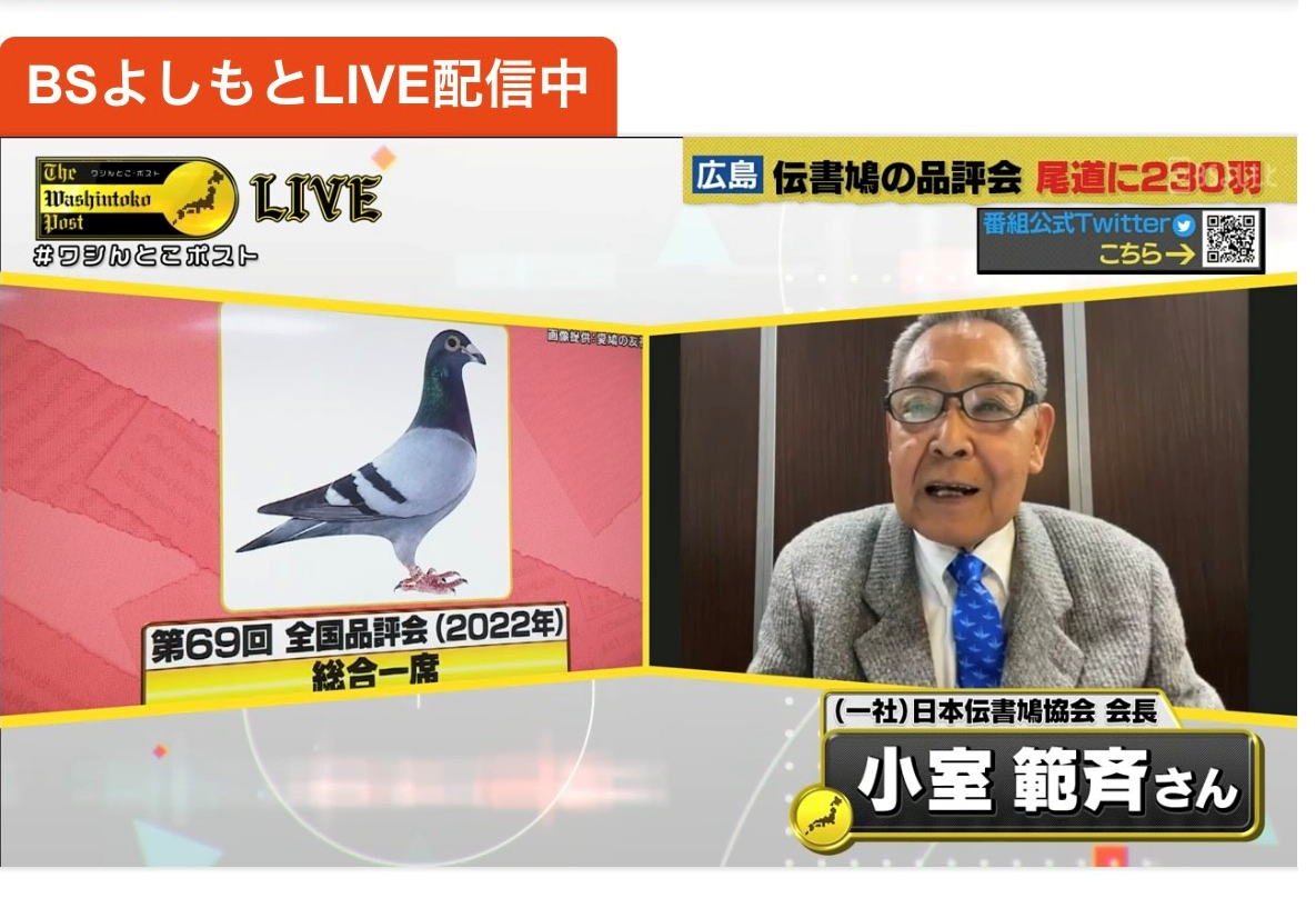 BSよしもとLIVE配信中