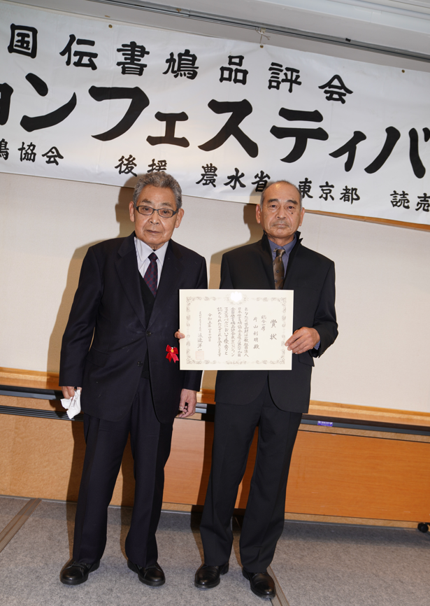 全国伝書鳩品評会一席