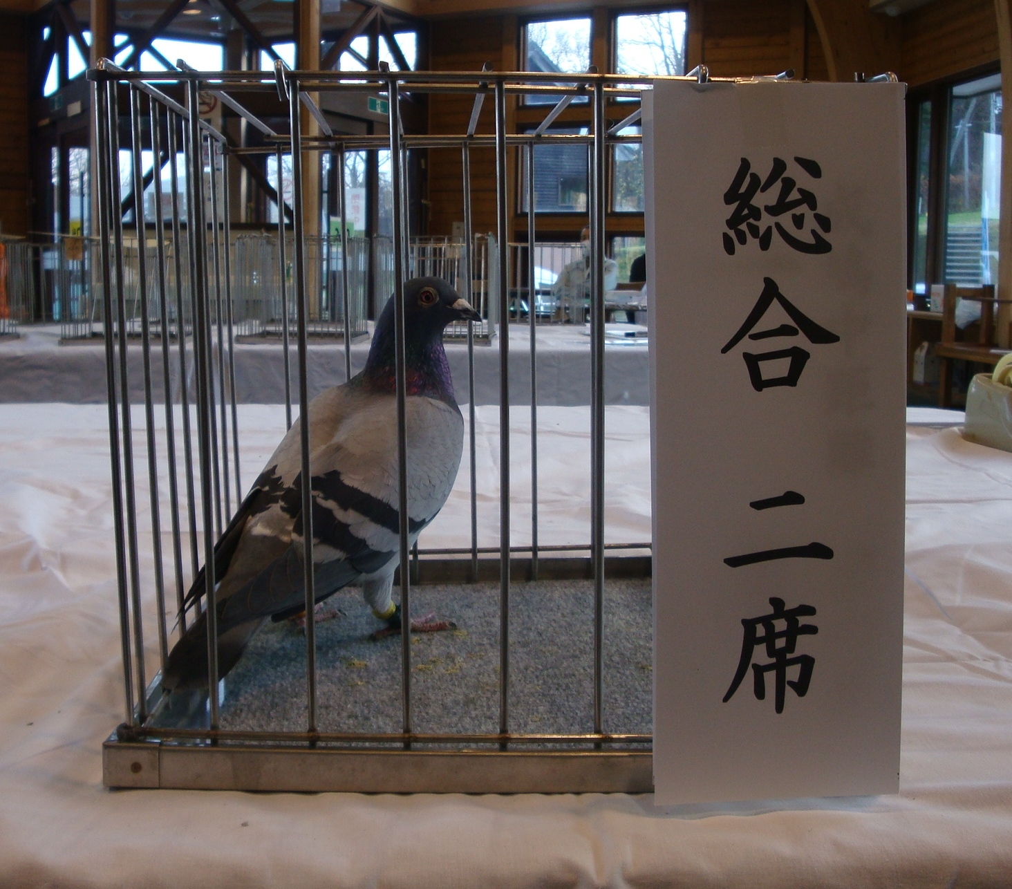 総合二席