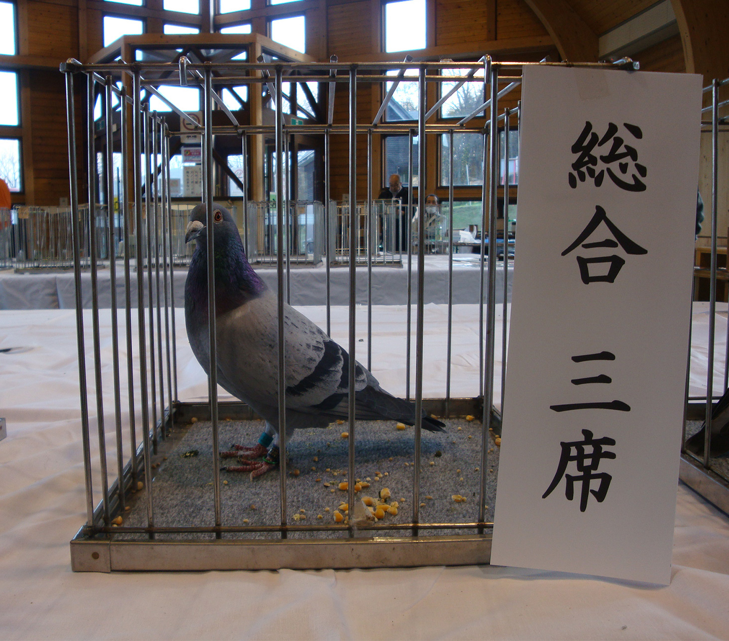総合三席