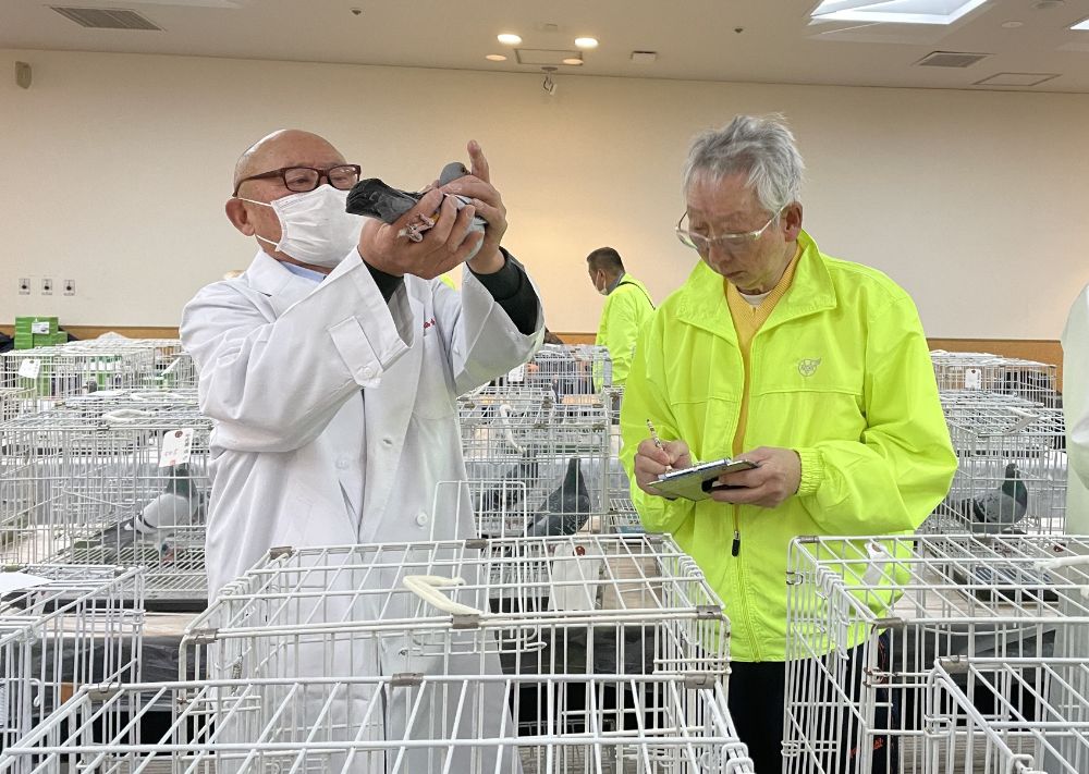 審査中