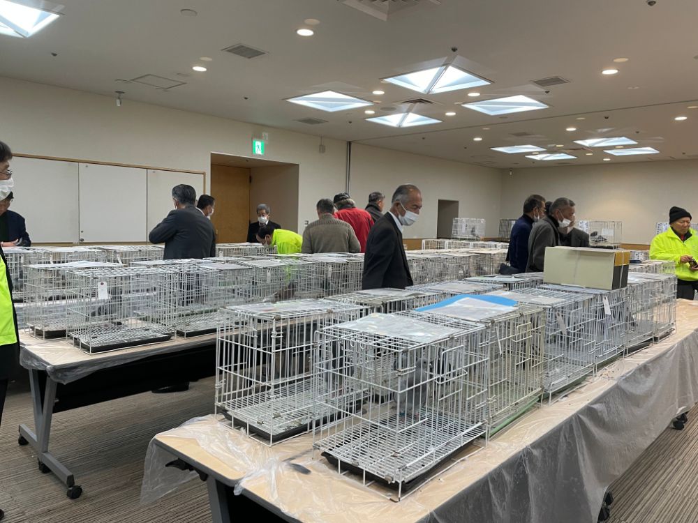 日鳩チャリティーオークション