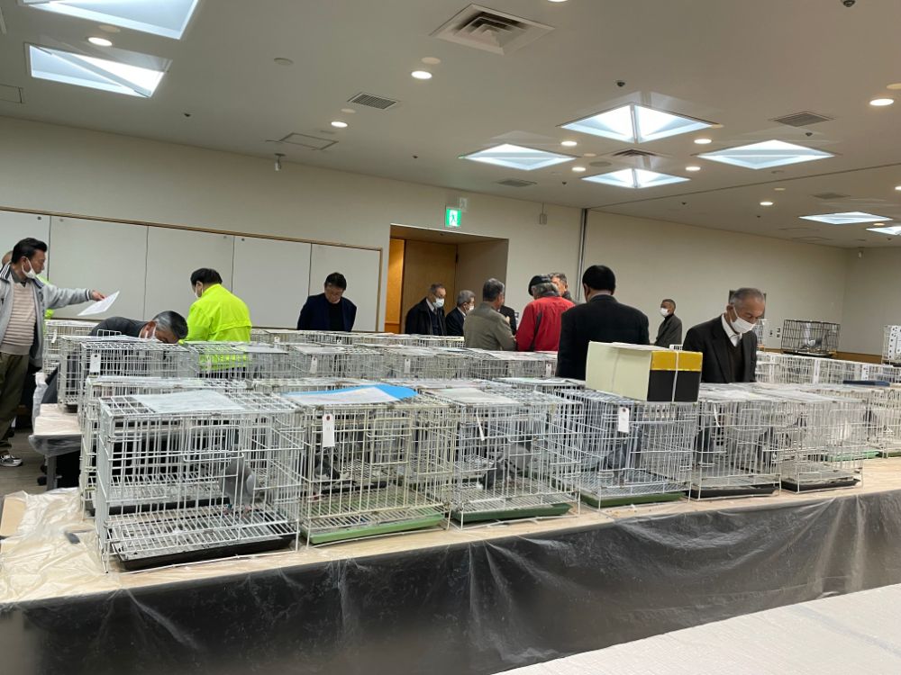 日鳩チャリティーオークション